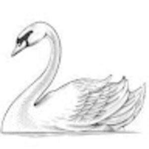 Meet your Posher, Mia